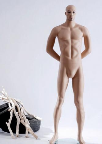 Maniquies Modelos de hombre Euro II
